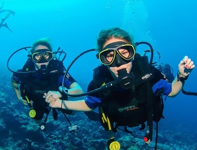 Maldives Diving